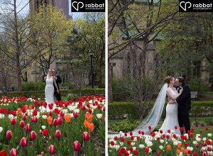 Bride and groom among the tulips at St. James Cathedral