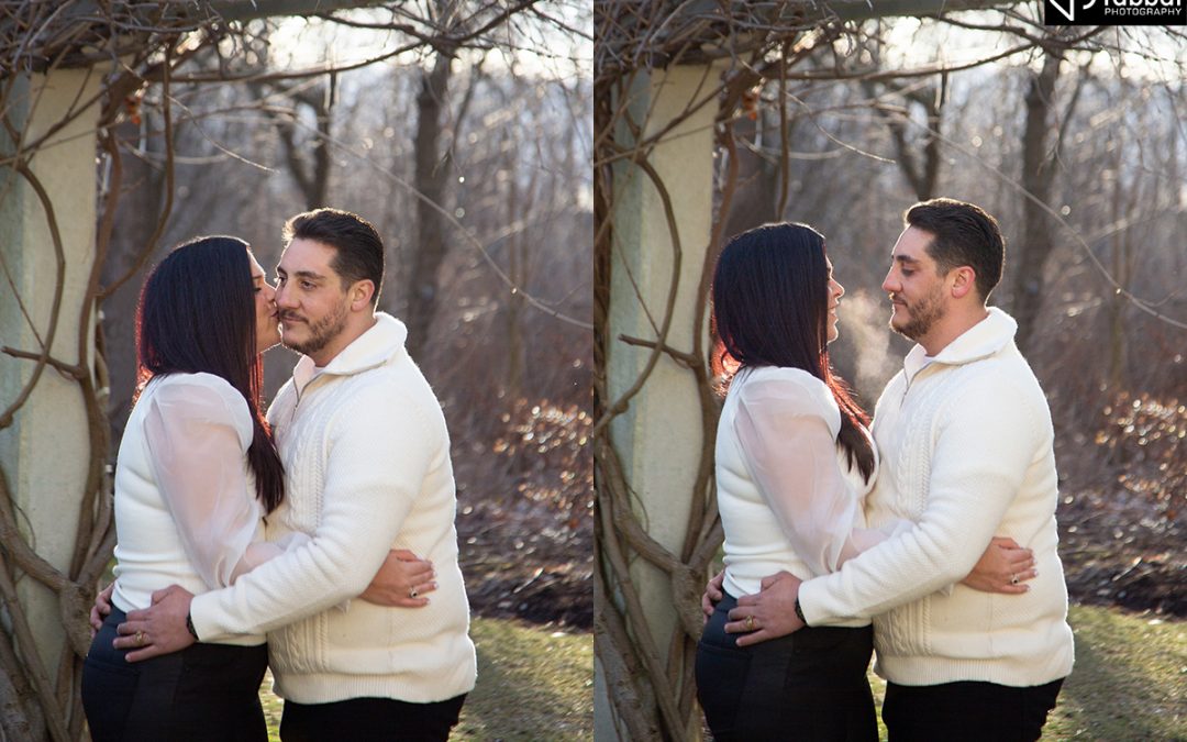 Winter Engagement Photos on a sunny day at Adamson Estates