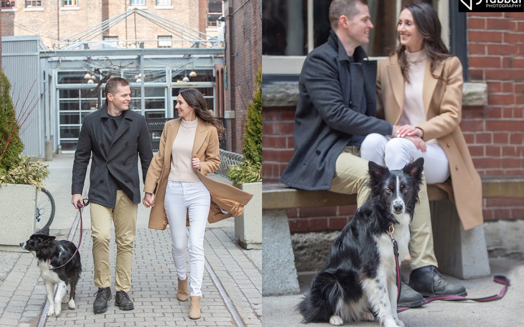Liberty Village Engagement Photos with Dog