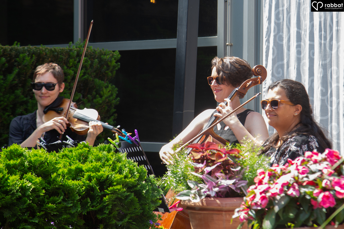 Three band members. The violin and cello are visible, the nyckelharpa is hidden behind a plant.